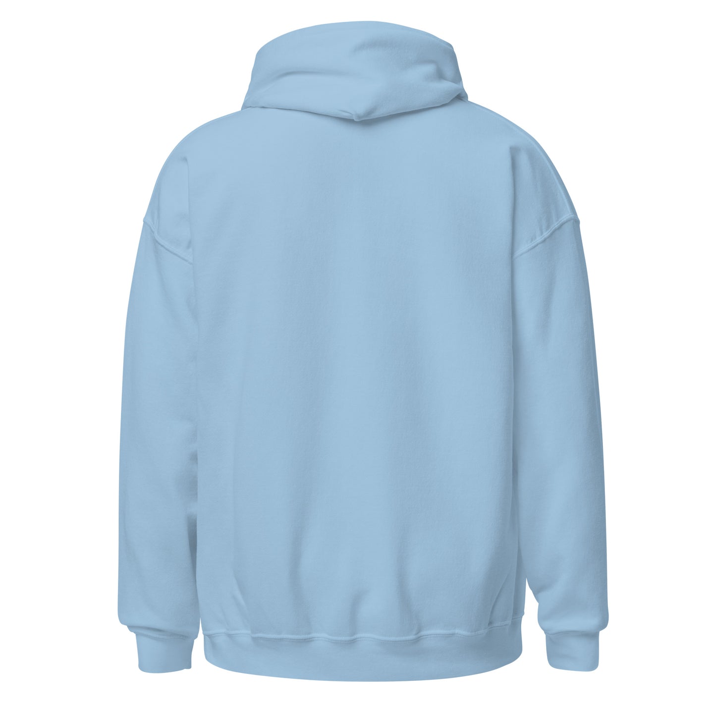 101 Aquarius Hoodie