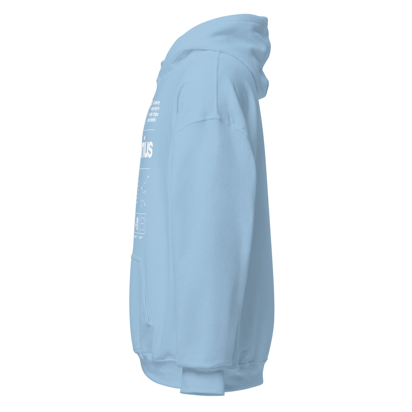 101 Aquarius Hoodie