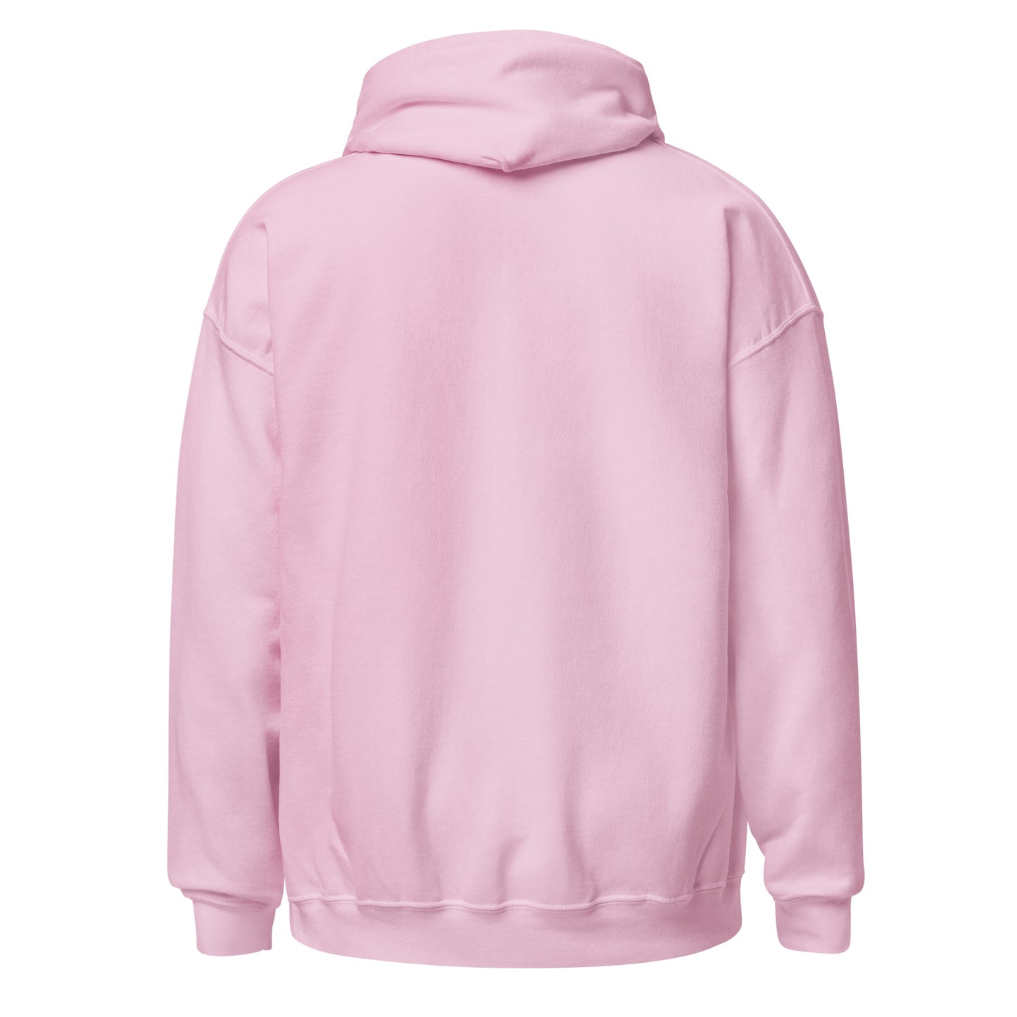 101 Aquarius Hoodie