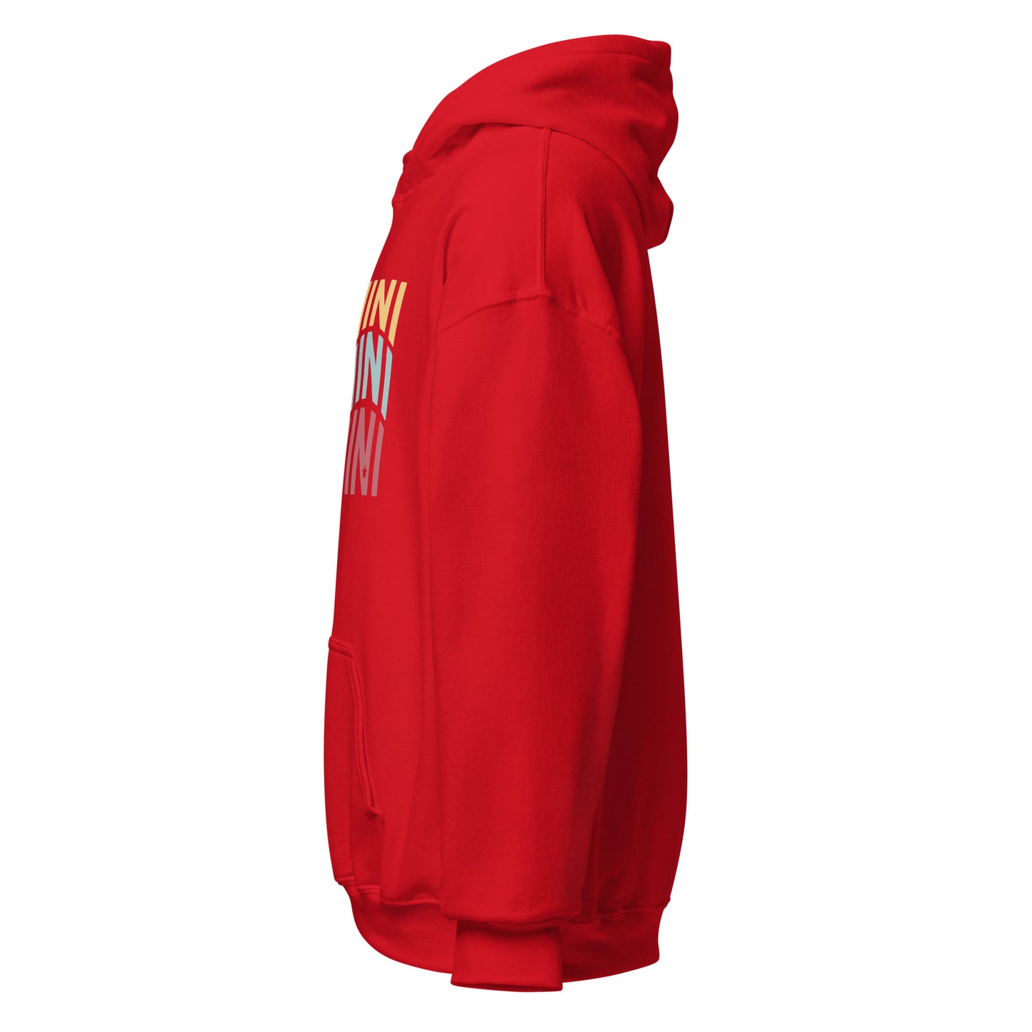 Air Vibes Gemini Hoodie