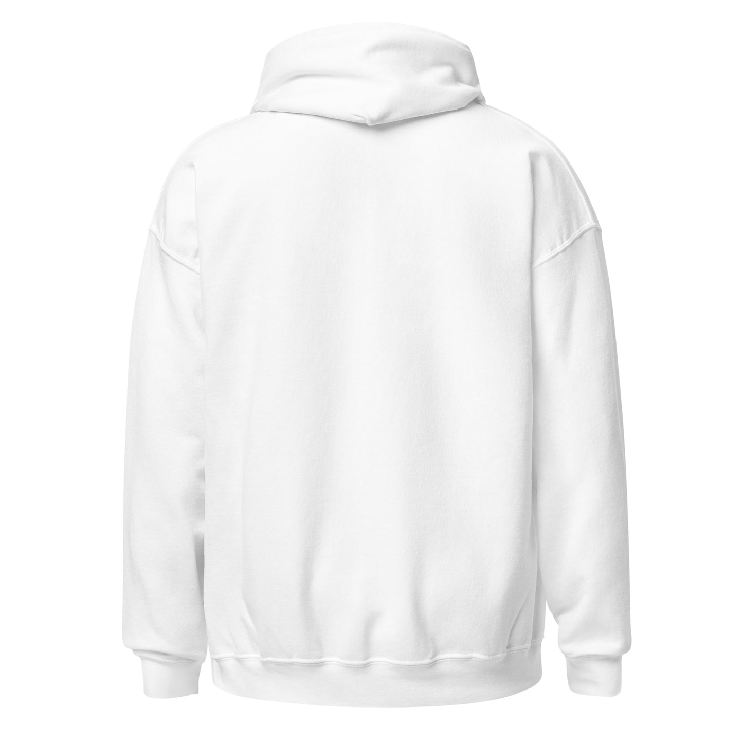 101 Aquarius Hoodie